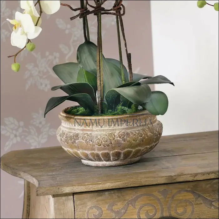 Dirbtinė orchidėja su vazonu DI2559 - €28 Save 65% 25-50, __label:Pristatymas 1-2 d.d., color-balta, color-ruda,