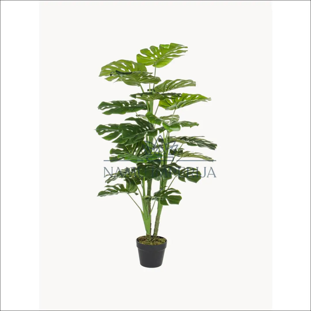 Dirbtinis augalas (120cm) DI5452 - €65 Save 50% 50-100, __label:Pristatymas 1-2 d.d., color-juoda, color-zalia,