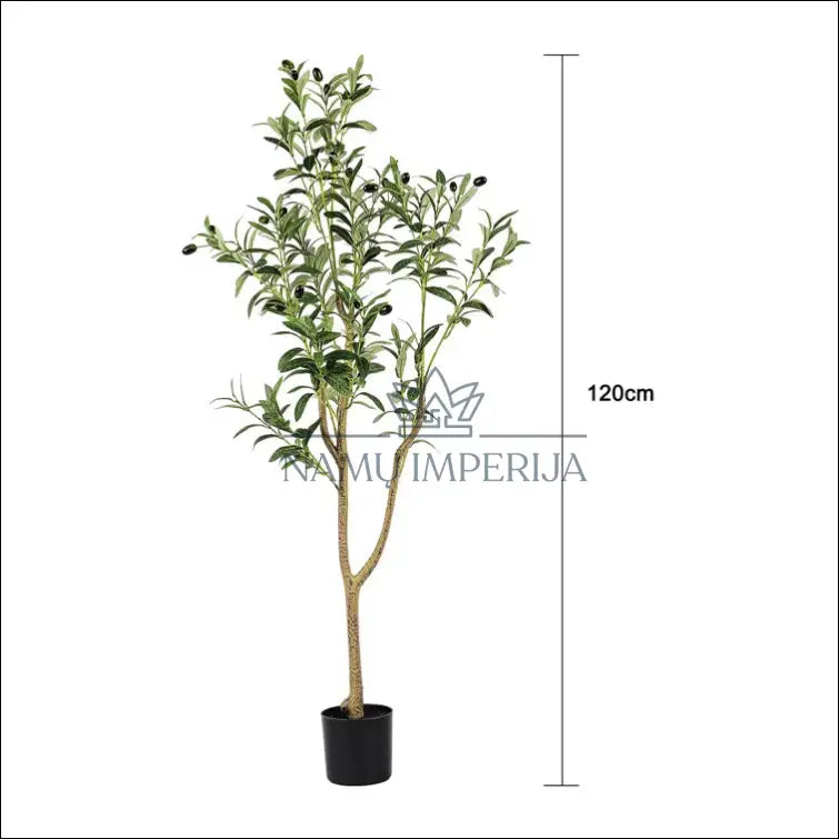 Dirbtinis augalas ’Alyvmedis’ DI2947 - €69 Save 65% 50-100, __label:Pristatymas 1-2 d.d., color-juoda,