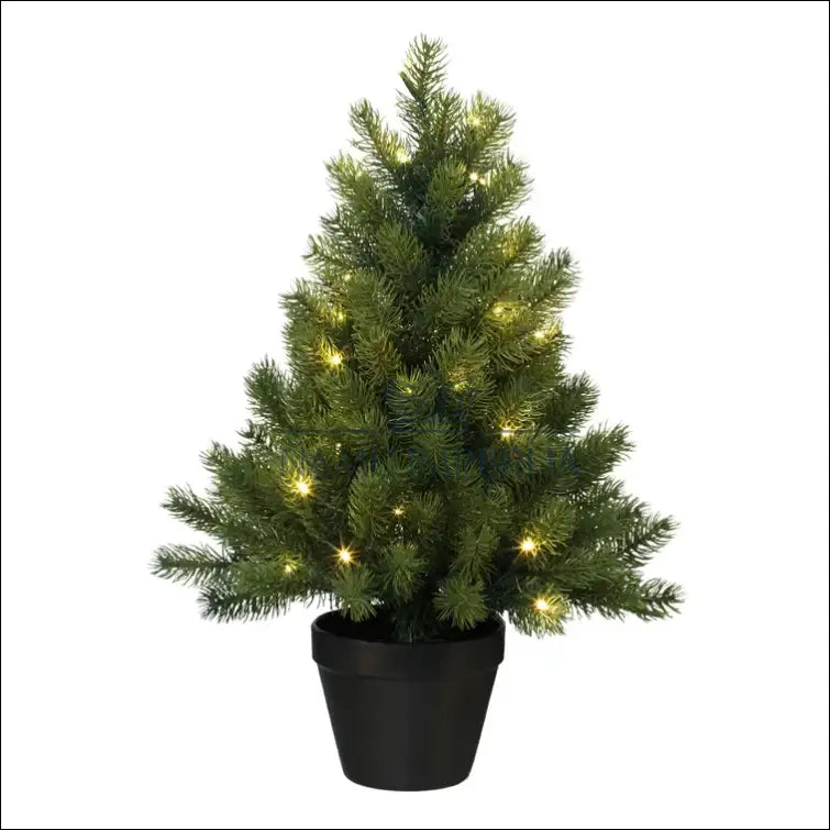 Kalėdinė eglutė su LED lemputėmis (60cm) DI5284 - €28 Save 50% 25-50, __label:Pristatymas 1-2 d.d., color-juoda,