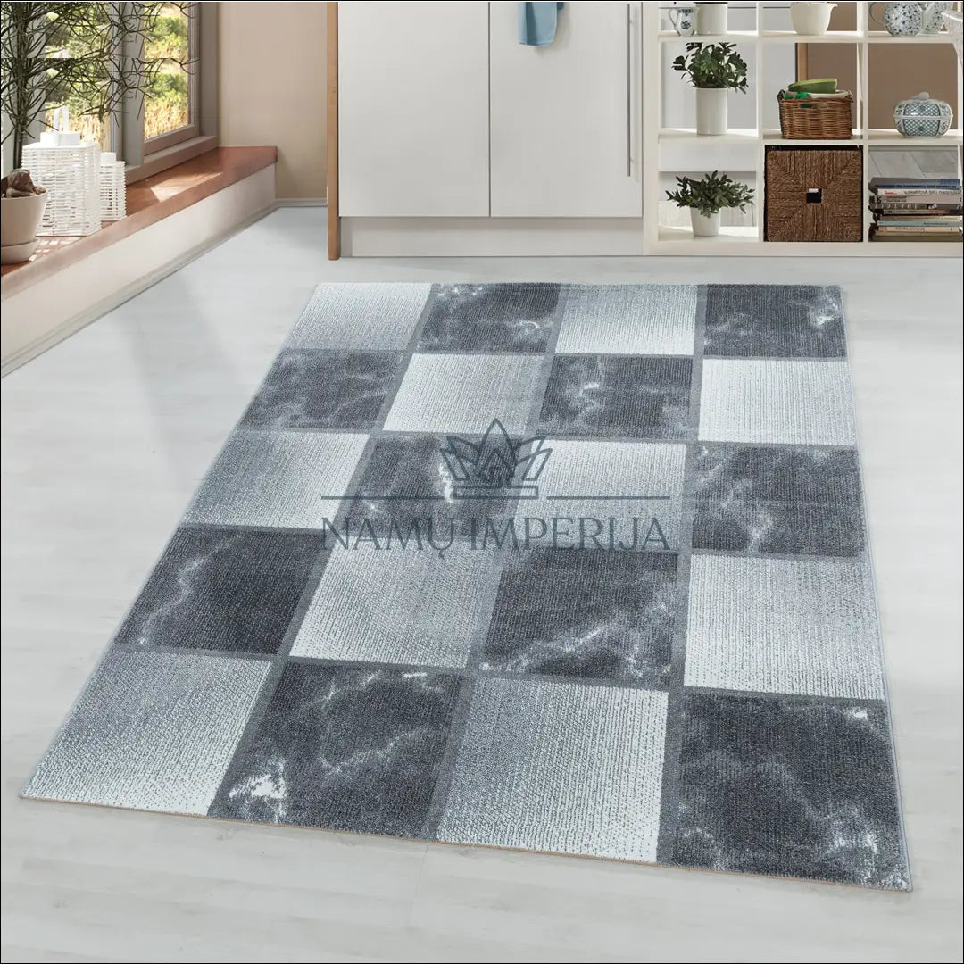 Kilimas NI2085 - €74 Save 30% -30% , 100-200, 50-100, __label:Pristatymas 5-14 d.d., ayy 80 x 250 cm / Pilka