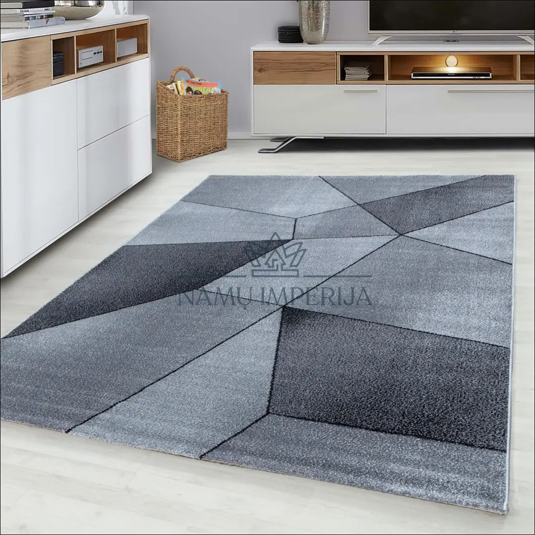 Kilimas NI2109 - €75 Save 30% 100-200, 50-100, __label:Pristatymas 5-14 d.d., ayy, ayy2 120 x 170 cm / Pilka