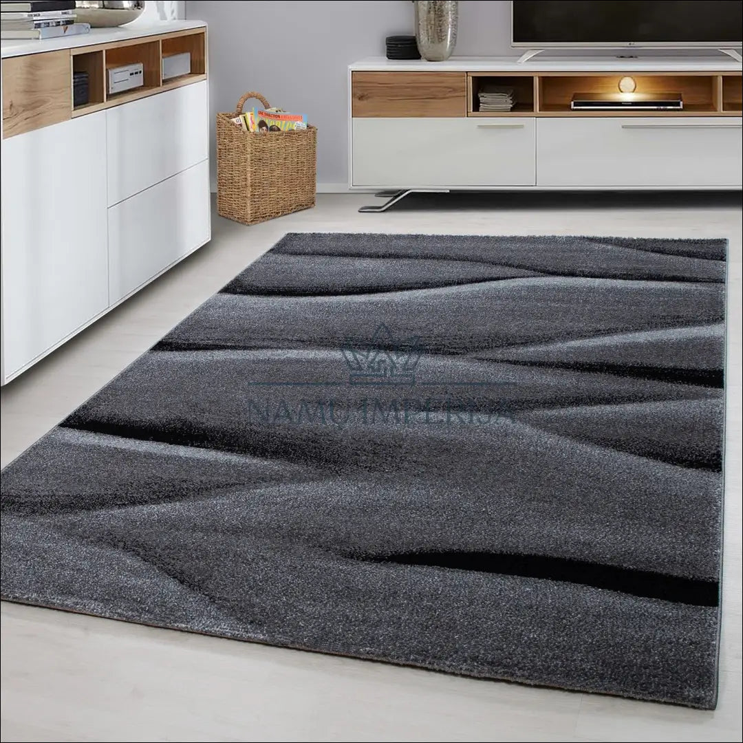 Kilimas NI2178 - €49 Save 30% 100-200, 25-50, 50-100, __label:Pristatymas 5-14 d.d., ayy 80 x 150 cm / Pilka