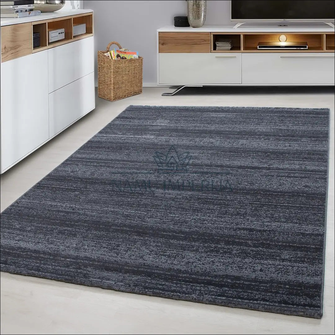 Kilimas NI2425 - €35 Save 30% 100-200, 25-50, 50-100, __label:Pristatymas 5-14 d.d., ayy 80 x 150 cm / Pilka