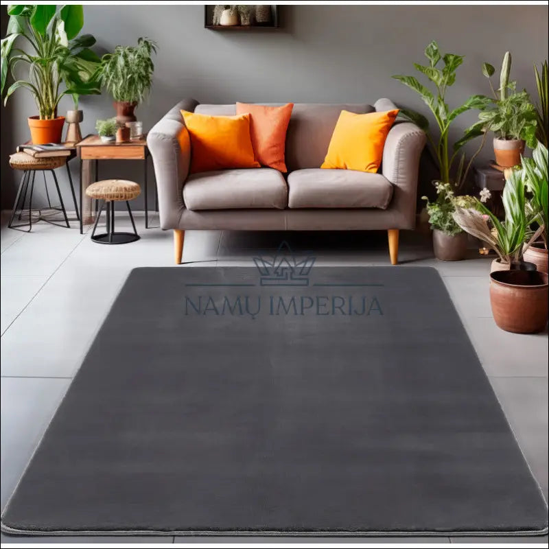 Kilimas NI2580 - €57 Save 30% 100-200, 50-100, __label:Pristatymas 5-14 d.d., ayy, color-pilka 80 x 150 cm Kilimai