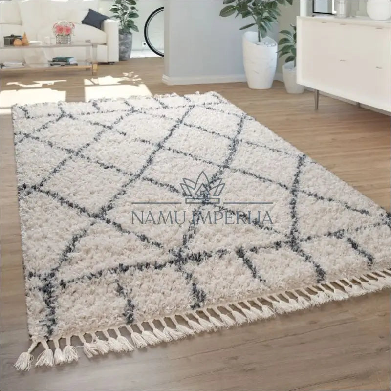 Kilimas NI3058 - €100 Save 20% 100-200, 50-100, __label:Pristatymas 5-14 d.d., ayy, Berber Rug Oriental Design