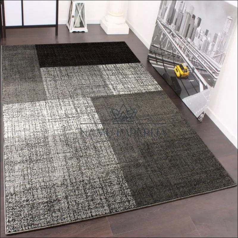 Kilimas NI3581 - €106 Save 15% 100-200, 50-100, __label:Pristatymas 5-14 d.d., ayy, color-pilka 120 x 170 cm Kilimai