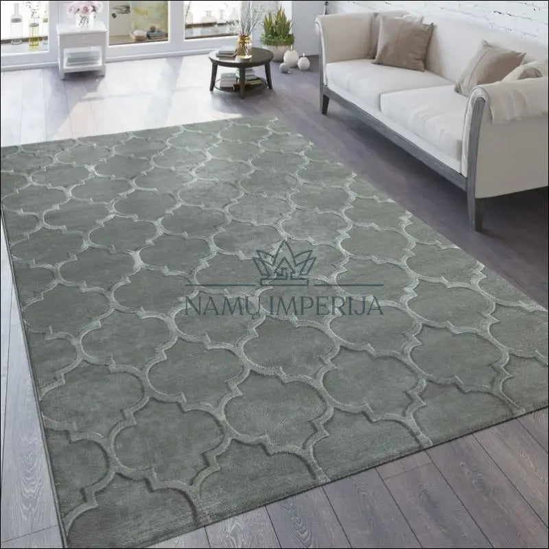 Kilimas NI3651 - €152 Save 20% 100-200, 50-100, __label:Pristatymas 5-14 d.d., ayy, color-pilka 160 x 230 cm Kilimai