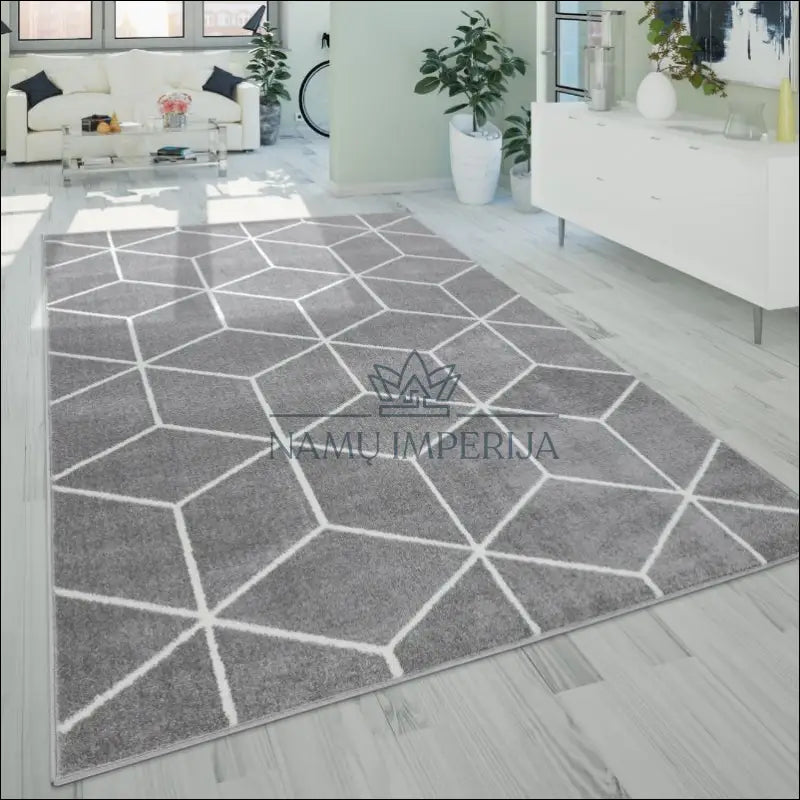 Kilimas NI3776 - €94 Save 15% 100-200, 50-100, __label:Pristatymas 5-14 d.d., ayy, color-pilka 120 x 170 cm Kilimai