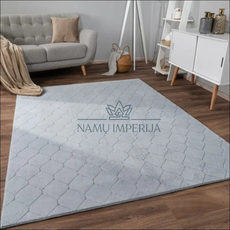 Kilimas NI4083 - €114 Save 15% 100-200, 50-100, color-Grau, kilimai, newdiva2 120x160 cm / Pilka Kilimai | Namų