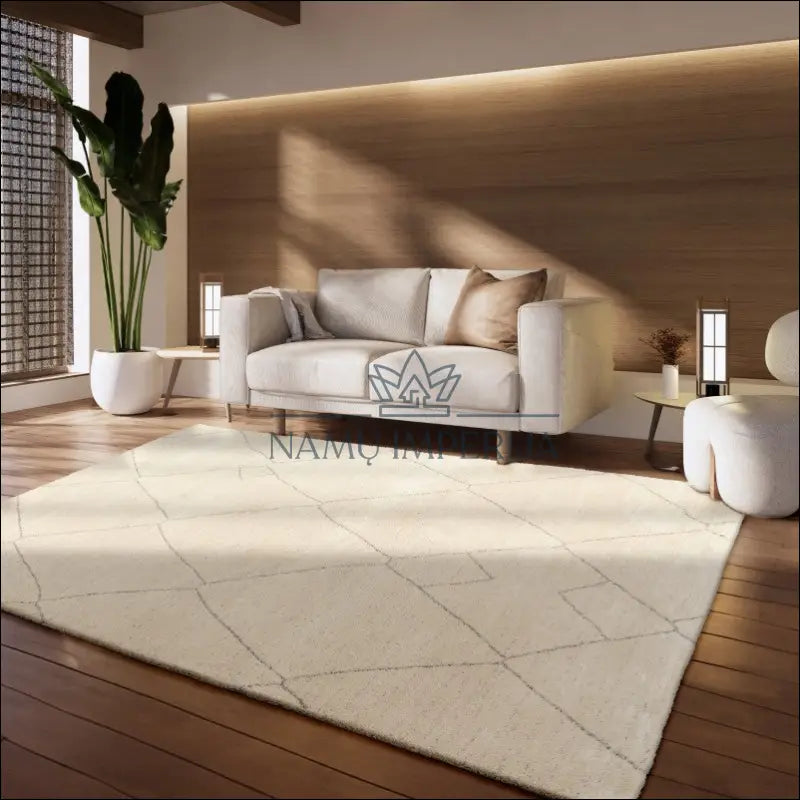 Kilimas NI4198 - €161 Save 15% 100-200, 50-100, color-Creme, kilimai, newdiva2 120 x 170 cm / kremas Kilimai | Namų