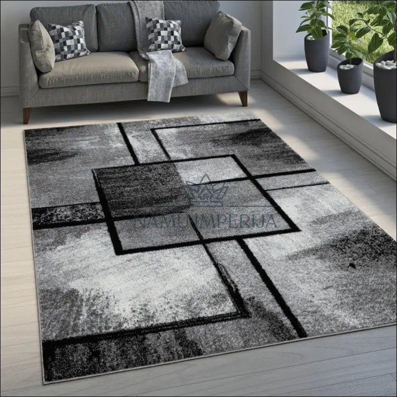 Kilimas NI4862 - €85 Save 20% 50-100, __label:Pristatymas 5-14 d.d., color-pilka, kilimai, newdiva2 120 x 170 cm