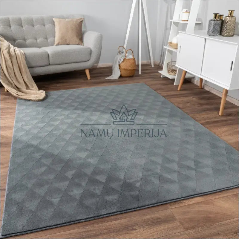 Kilimas NI5830 - €114 Save 15% 100-200, 50-100, color-Anthracite, kilimai, newdiva2 120x160 cm / antracitas Kilimai